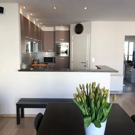 Apartman Beautiful Renee 50 M From The In The Centre Of